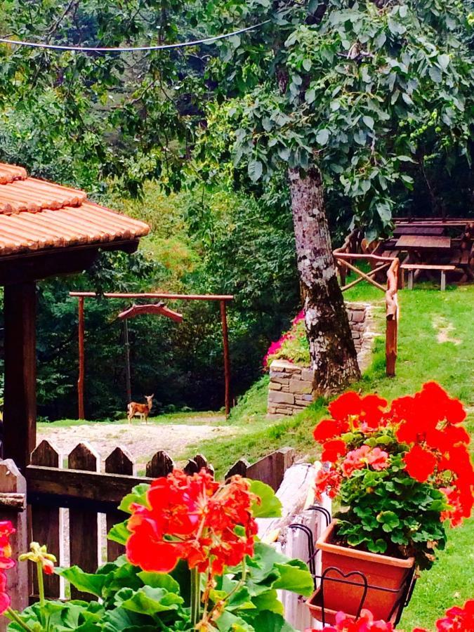 B&B La Presa Molino del Pallone Bagian luar foto