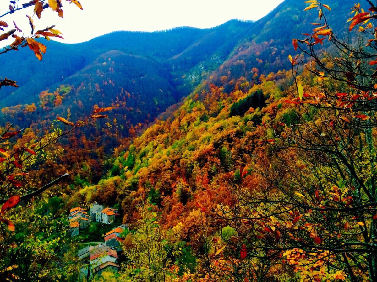 B&B La Presa Molino del Pallone Bagian luar foto